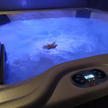 Апартаменты Silver *