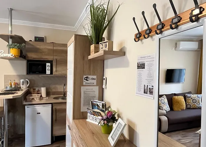 Silver Apartament Eger